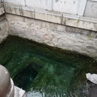 評論圖片 5
