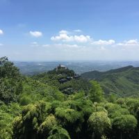 評論圖片 7