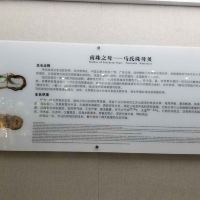 評論圖片 6