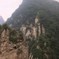 評論圖片 3