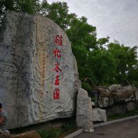 評論圖片 6