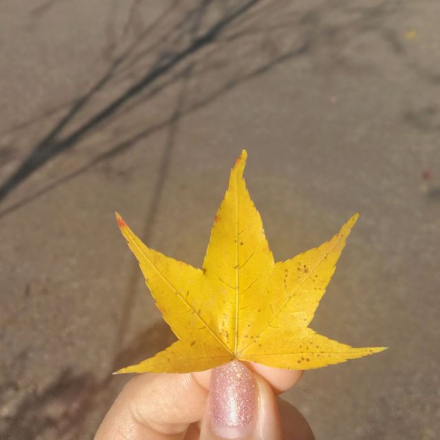 칭징 농장