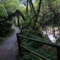 評論圖片 2
