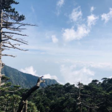 評論圖片 3