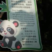 評論圖片 4