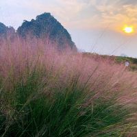 評論圖片 5