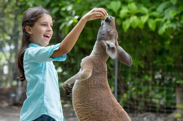 Jungle Island: Miami eco-adventure theme park like no other