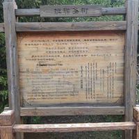 評論圖片 9