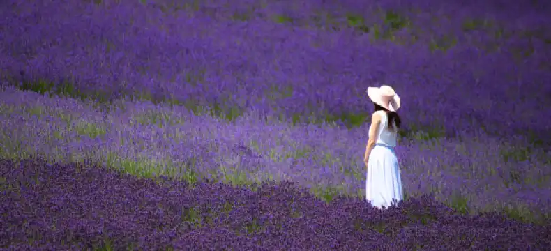 Kuumat lähteet hotellit kohteessa Hokkaidō, Japani