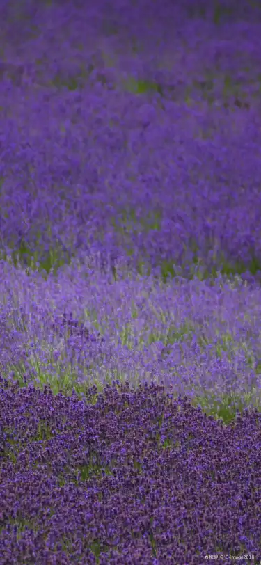 Hokkaidō, Giappone: hotel termali