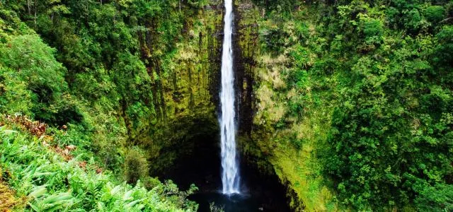 繽紛夏威夷 | 如何玩轉彩虹州,這幾種顏色告訴你!