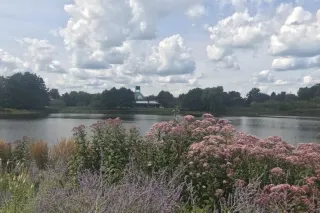 The Complete Guide to Chicago Botanic Garden