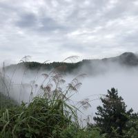 評論圖片 2