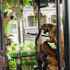 Natural Restaurant User Photo