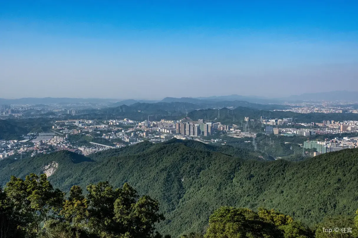 4_Yangtaishan Forest Park