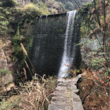評論圖片 9