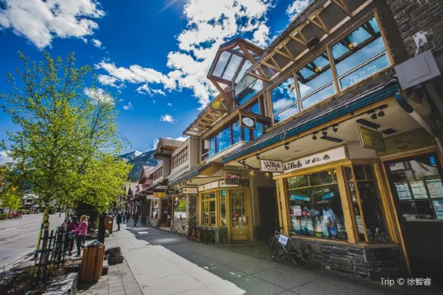 20 Dollar View: A Visit to The Beautiful Lake Moraine in Banff