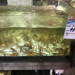 滿唐紅張用戶圖片