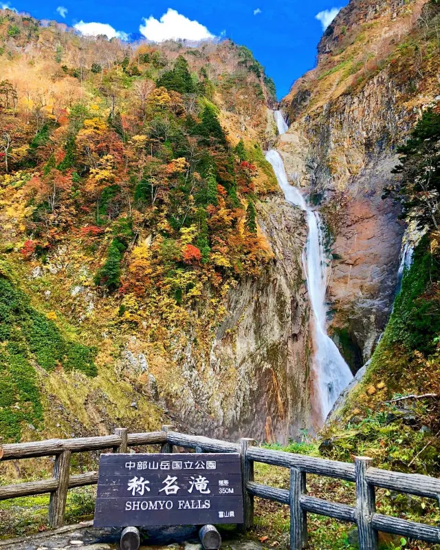 秋風起,擁有日本最長賞楓期的立山黑部點玩先至最「楓」喜?
