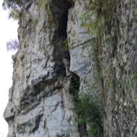 評論圖片 4