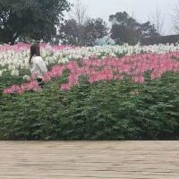 評論圖片 9