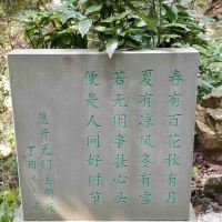 評論圖片 4