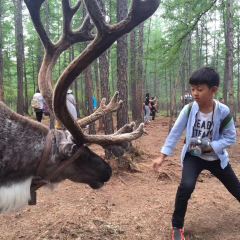 AO LU GU YA User Photo