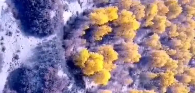 Hotels in Feather Sound