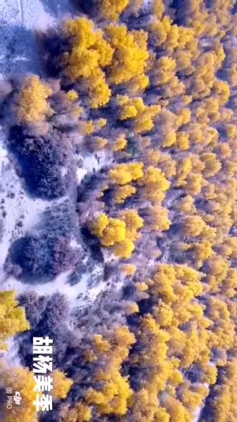 帕斯-德-拉-卡薩