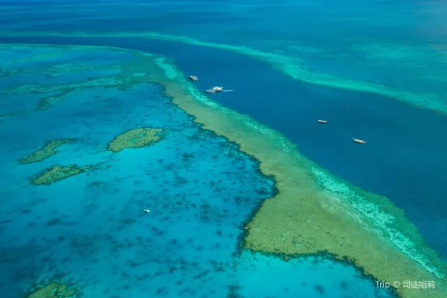 Guide to Great Barrier Reef: Nature Wonderland