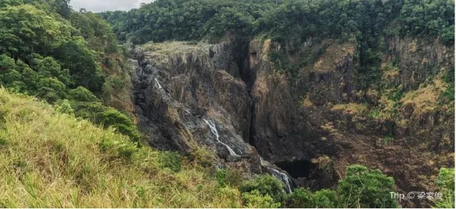 Gondwana Rainforests and More: Australia Rainforests