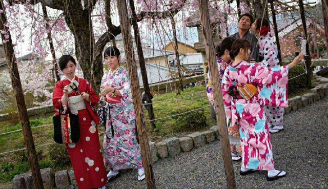 櫻花和服景點 京都旅遊評論 旅行指南 Trip Com