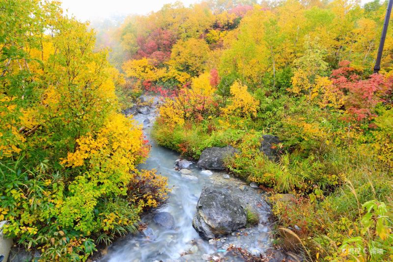 Oirase Gorge