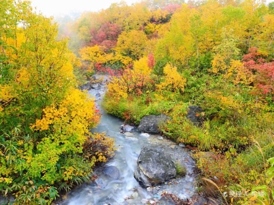 Oirase Gorge