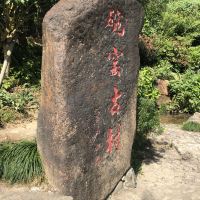 評論圖片 9