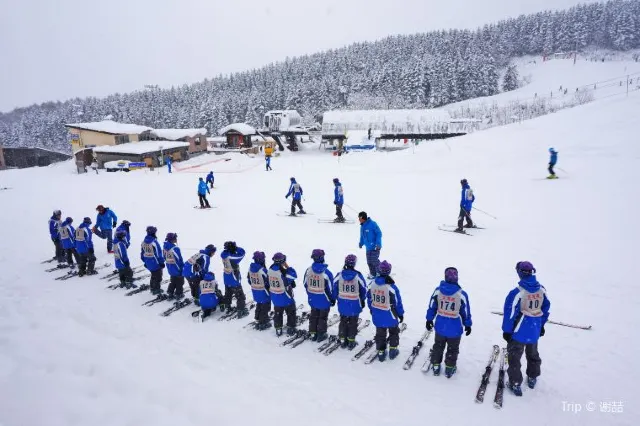 9 Best Things to do in Hokkaido during Winter Holidays