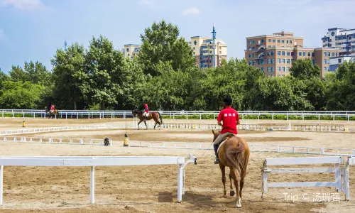 Horse Riding in Changchun