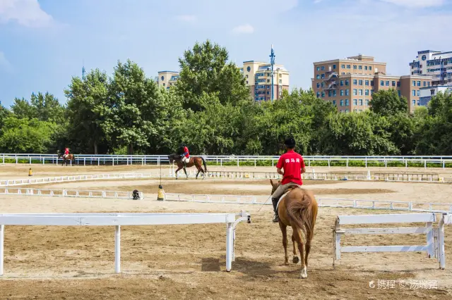 Horse Riding in Changchun
