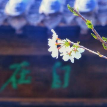 評論圖片 1