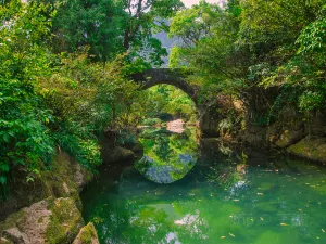 Maolan Karst Forest