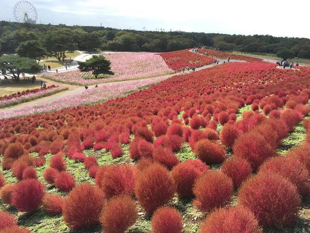 10 Things You Have to do in Ibaraki