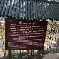 評論圖片 3