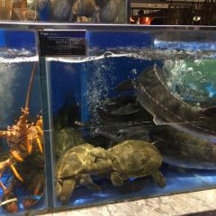 华苑小海鲜·海鲜餐厅 User Photo