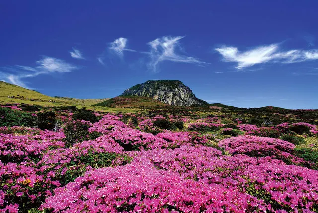 Top 10 must-See Attractions on Jeju Island