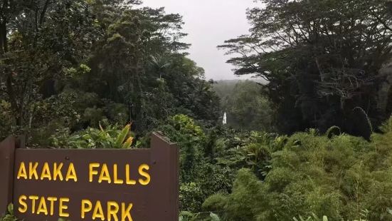 阿卡卡瀑布公园是夏威夷岛上一座州立公园，飞流直下深潭落差13