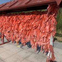 評論圖片 8