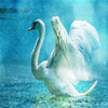 jkd30aenor_Clark