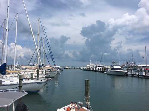 The Waterfront Brewery