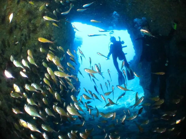 Unusual Watersports in Okinawa Go Diving at the Only (Other) Blue Cave in the World