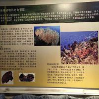 評論圖片 3